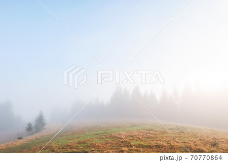 Morning fog creeps with scraps over autumn mountain forest covered in gold leaves Morning fog creeps with scraps over autumn mountain forest covered in gold leaves 70770864
