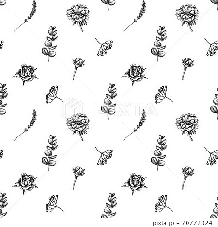 Seamless pattern with black and white roses, anemone, eucalyptus, lavender, peony, viburnum Seamless pattern with black and white roses, anemone, eucalyptus, lavender, peony, viburnum 70772024