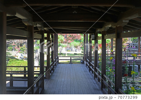 大覚寺村雨の廊下-11 大覚寺村雨の廊下-11 70773299