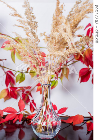 .A vase of dried flowers on a black glass surface with leaves of wild grapes .A vase of dried flowers on a black glass surface with leaves of wild grapes 70775103