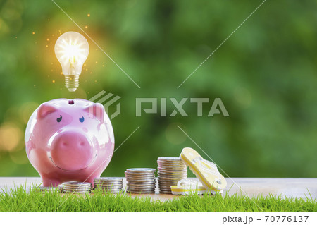 Happy Pink Piggy Bank and Light bulb in close-up and coins stack in the nature background, Saving ideas and investment budget, Business saving money concept, Copy space Happy Pink Piggy Bank and Light bulb in close-up and coins stack in the nature background, Saving ideas and investment budget, Business saving money concept, Copy space 70776137