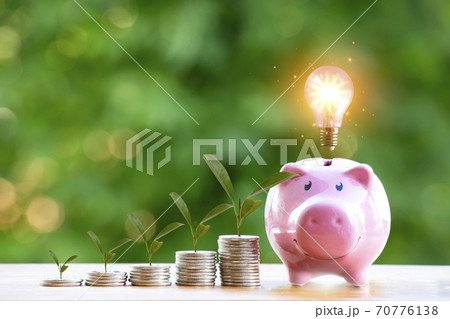 Happy Pink Piggy Bank and Light bulb in close-up and coins stack in the nature background, Saving ideas and investment budget, Business saving money concept, Copy space Happy Pink Piggy Bank and Light bulb in close-up and coins stack in the nature background, Saving ideas and investment budget, Business saving money concept, Copy space 70776138