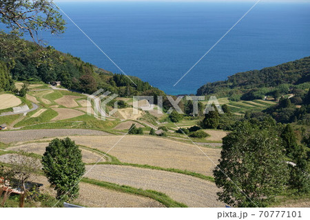 岩首昇竜棚田 岩首昇竜棚田 70777101