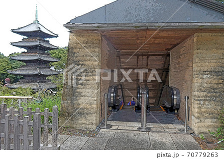 八事・興正寺・点景 70779263