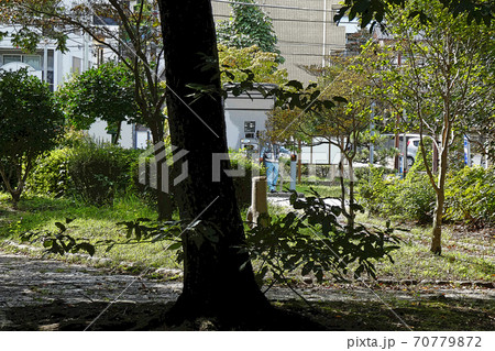 八事・興正寺・点景 八事・興正寺・点景 70779872