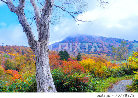 蔵王高原の紅葉 蔵王高原の紅葉 70779878