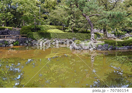 中村公園・点景 70780154