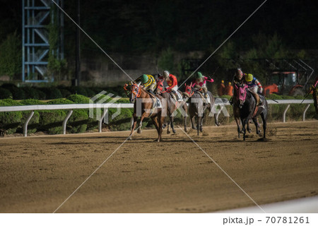 夜の佐賀競馬 夜の佐賀競馬 70781261
