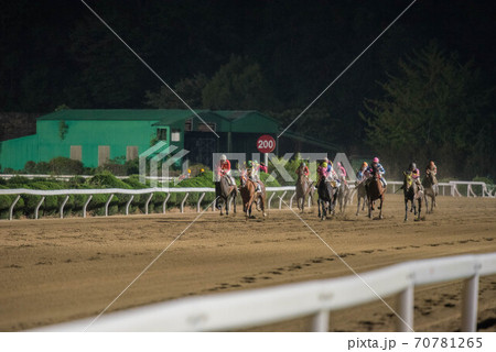 夜の佐賀競馬 70781265
