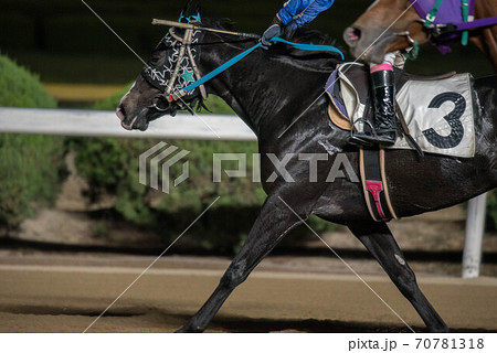 夜の佐賀競馬 70781318
