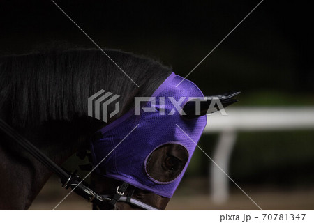 夜の佐賀競馬 70781347