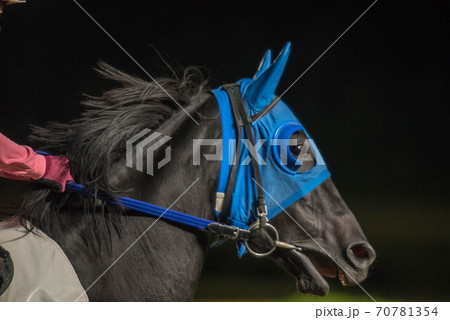 夜の佐賀競馬 70781354