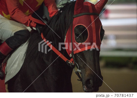 夜の佐賀競馬 夜の佐賀競馬 70781437
