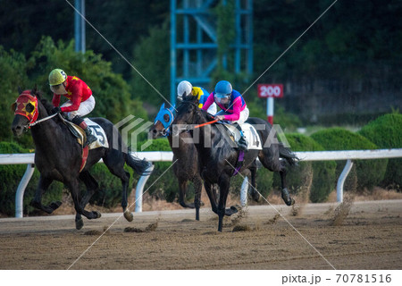 夜の佐賀競馬 70781516
