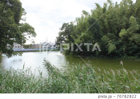 堺市世界遺産いたすけ古墳 70782822