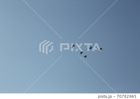 空 屋外 収穫 70782965