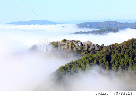 天空の山城4462 70783213