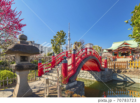 東京 亀戸 東京スカイツリーと亀戸天神社の石灯篭と太鼓橋の写真素材