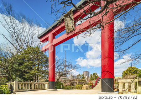 東京 亀戸 東京スカイツリーと亀戸天神社の赤い鳥居の写真素材