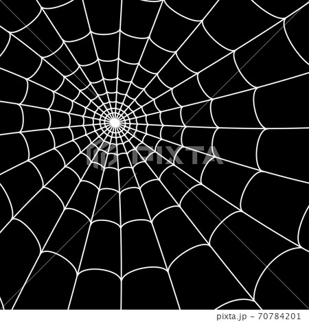 Spider Web Conceptのイラスト素材