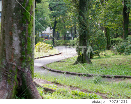 公園の道に差す光 70784231