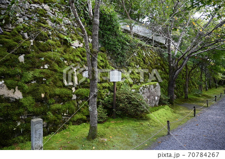 京都大原　三千院門跡　参道 70784267