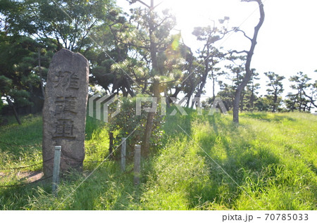 蘇鉄山の擁護壐 蘇鉄山の擁護壐 70785033
