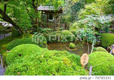 京都大原　寂光院　汀の池と諸行無常の鐘楼 70785331