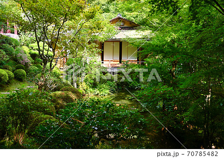 京都大原　寂光院　孤雲 70785482