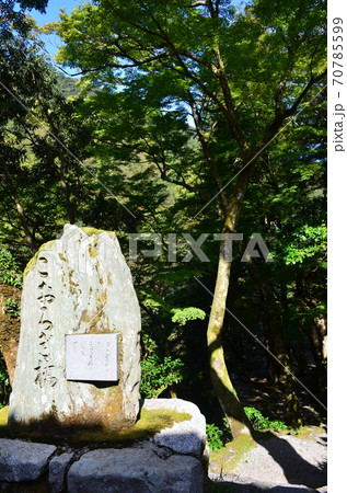 こおろぎ橋の碑 こおろぎ橋の碑 70785599