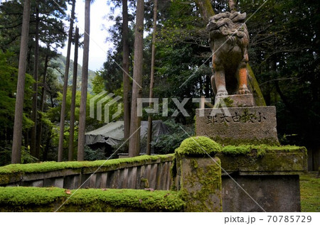 長谷部神社 70785729