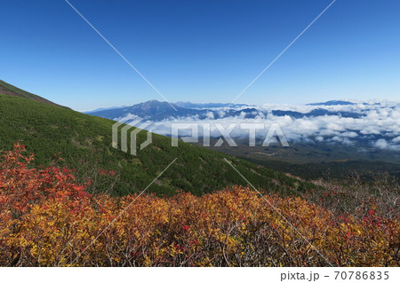 御嶽山八合目の紅葉 70786835