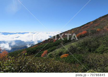 御嶽山八合目の紅葉 御嶽山八合目の紅葉 70786845