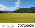 豊作 70786929