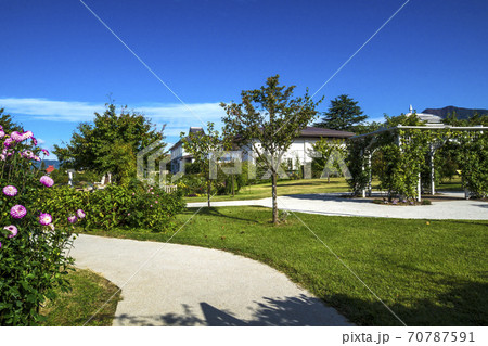 信州 長野県中野市秋の一本木公園のローズガーデンの写真素材