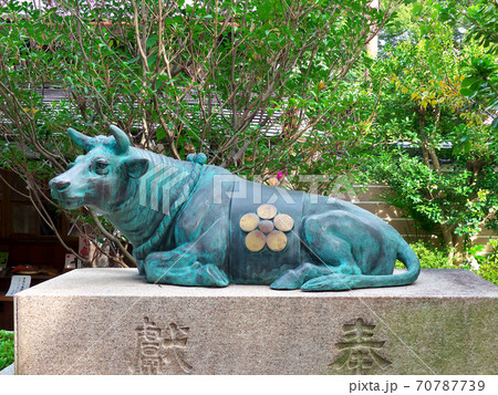 菅原院天満宮の青い臥牛像 70787739