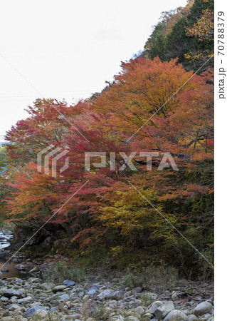 秋の奥津渓 70788379