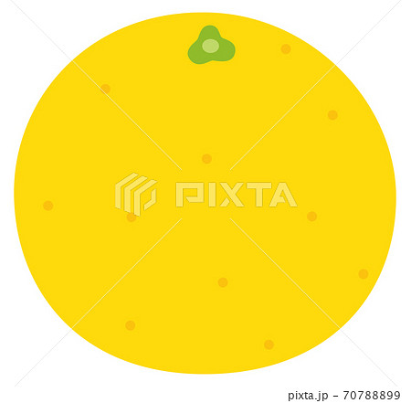 グレープフルーツのベクターイラスト フレッシュ グレープフルーツのベクターイラスト フレッシュ 70788899