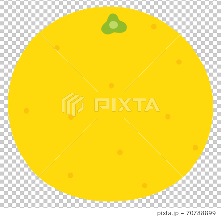 グレープフルーツのベクターイラスト フレッシュ グレープフルーツのベクターイラスト フレッシュ 70788899