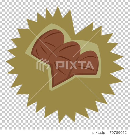栗のベクターイラストのイラスト素材