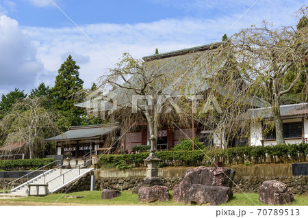 芝山仁王尊 本堂風景 芝山仁王尊 本堂風景 70789513