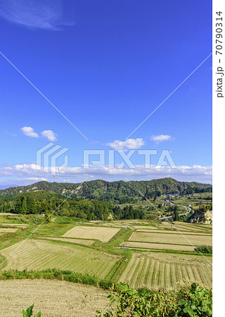 秋 山形県 大蔵村の棚田 秋 山形県 大蔵村の棚田 70790314