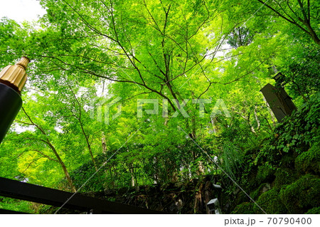 大原三千院 70790400