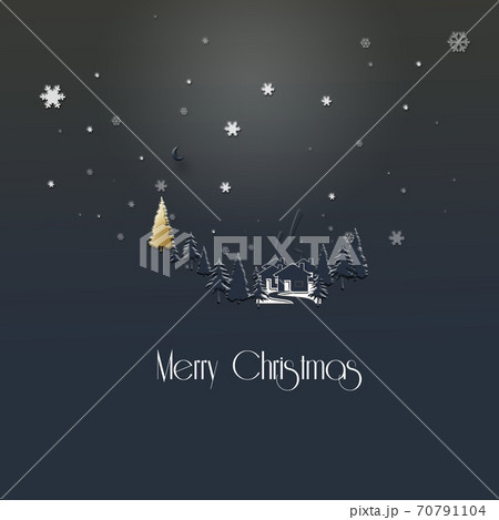 Minimalist Christmas 2021 New Year winter night landscape 70791104