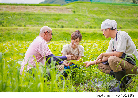 農業体験 70791298