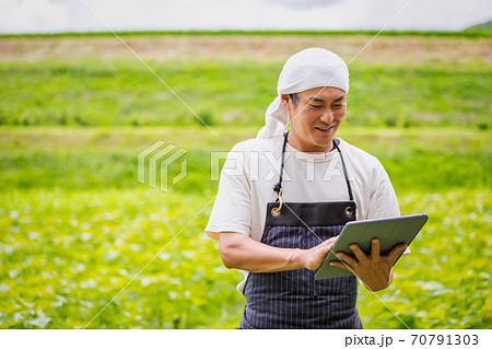 タブレットPCで農業する男性 タブレットPCで農業する男性 70791303