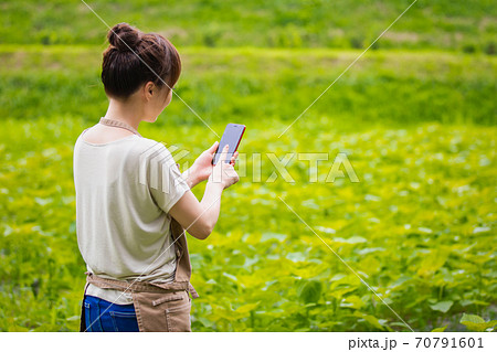 スマホで農業する女性 スマホで農業する女性 70791601