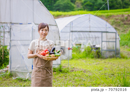 ハウス農業 ハウス農業 70792016