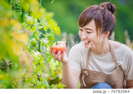 トマトを栽培する女性 70792064