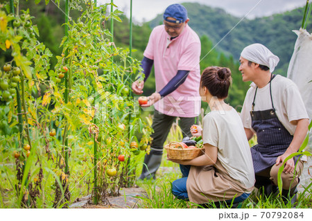農業体験 70792084